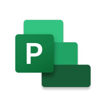 Microsoft Project 2019 1 license(s) Multilingual