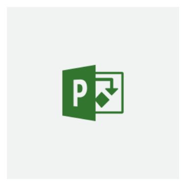 Microsoft Project Standard 2019 Full 1 license(s) English