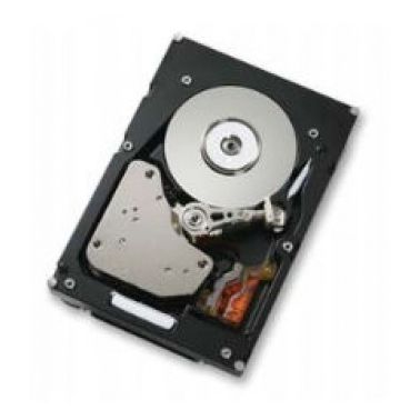 Hitachi 0B21254 SCSI Hard Drive