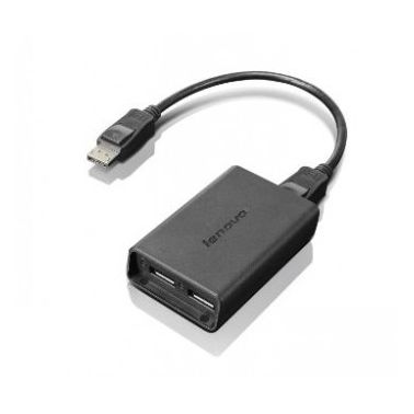 Lenovo DisplayPort to Dual-DisplayPort Monitor Cable USB cable USB A Black