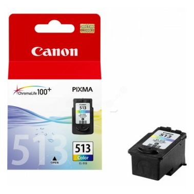 Canon 2971B001 (CL-513) Printhead color, 349 pages, 13ml