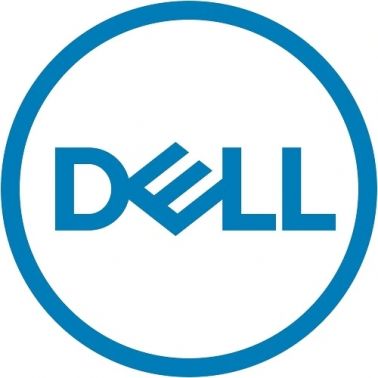 DELL 345-BBYZ internal solid state drive 2.5" 960 GB SAS