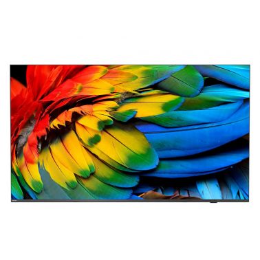 Philips 50HFL6214U 127 cm (50") 4K Ultra HD Smart TV Wi-Fi Anthracite 400 cd/m² Rollable display