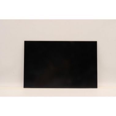 Lenovo DISPLAY FRU AUO B160UAN03.2