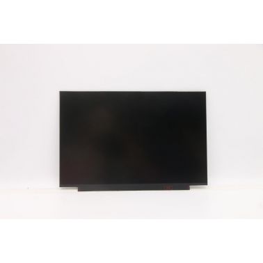 Lenovo FRU LCD SD10W73258 (