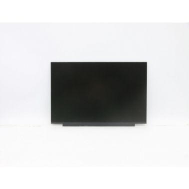 Lenovo FRU LCD SD10W73260