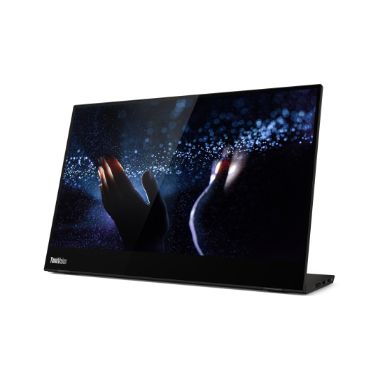 Lenovo ThinkVision M14t 35.6 cm (14") 1920 x 1080 pixels Full HD LED Black