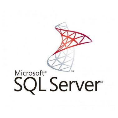 Microsoft SQL Server Standard Core Edition Open License 1 year(s)