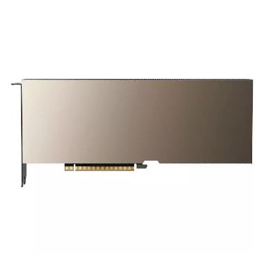 NVIDIA 900-2G133-0020-100 A10 Passive Graphic Card