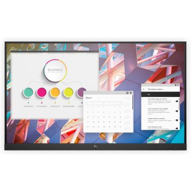 HP E24 G4 FHD No Stand Monitor