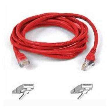 Belkin Patch cable - RJ-45(M) - RJ-45(M) - 2m ( CAT 5 ) 10/100/1000Base-T - red networking cable