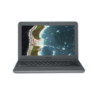 ASUS Chromebook C202XA-GJ0004 29.5 cm (11.6") HD