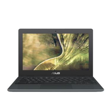 ASUS Chromebook C204EE DDR4-SDRAM 29.5 cm (11.6") 1366 x 768 pixels Intel