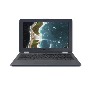 ASUS Chromebook Flip C213NA-BW0034-OSS notebook 29.5 cm (11.6") 1366 x 768 pixels Touchscreen Intel