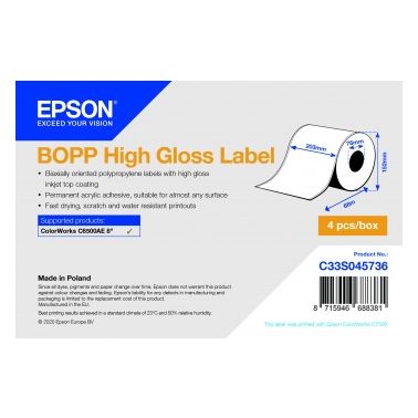 Epson C33S045736 printer label