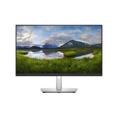 DELL 24 Monitor - P2422H