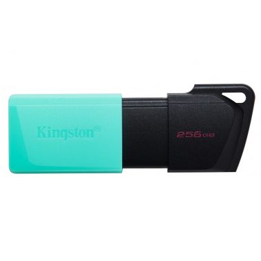 Kingston Technology DataTraveler 256GB USB3.2 Gen1 Exodia M (Black + Teal)