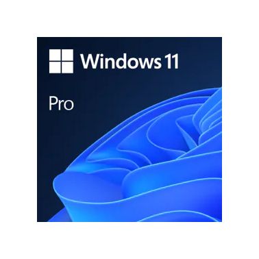 Microsoft Windows 11 Pro 1 license(s)