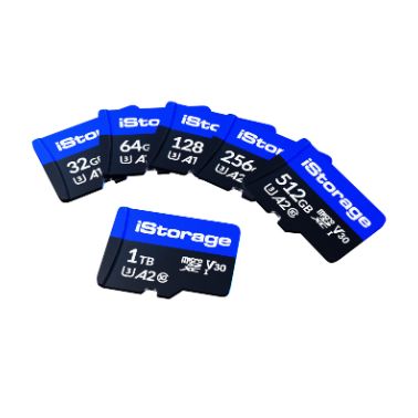 iStorage IS-MSD-1-256 memory card 256 GB MicroSDXC UHS-III Class 10