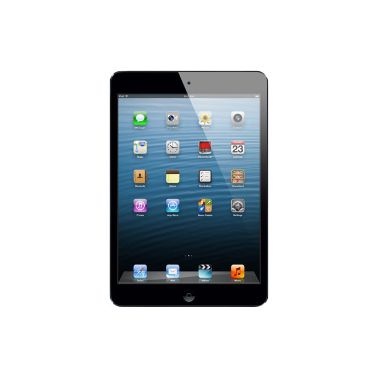 Apple iPad Mini 16GB WIFI Black-Slate