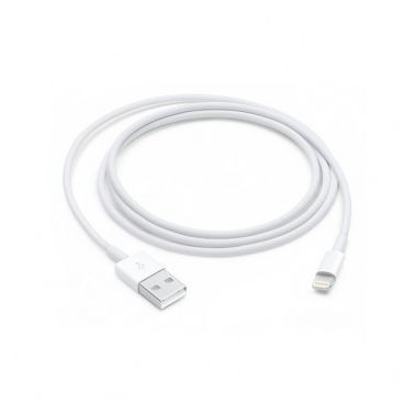 Lightning to USB Cable (1 m)