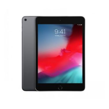 iPad mini Wi-Fi 64GB - Space Grey