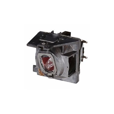 Viewsonic RLC-109 projector lamp