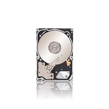 Seagate Constellation .2 2.5" 500 GB Serial ATA