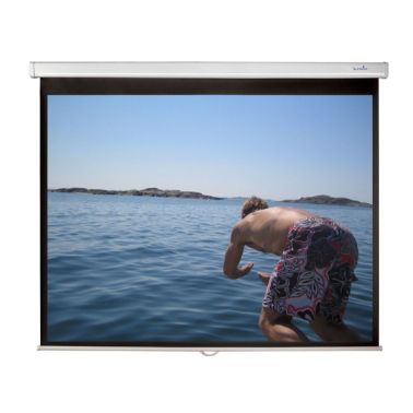 Sapphire AV SWS200BV projection screen 2.54 m (100") 4:3