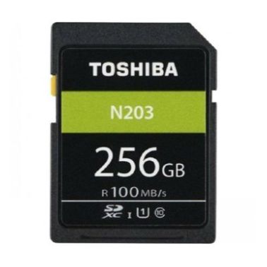 Toshiba SD-Card Exceria R100 N203 256GB