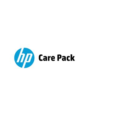 Hewlett Packard Enterprise U0TA1E IT support service