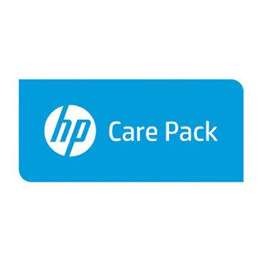 Hewlett Packard Enterprise U2E13E IT support service