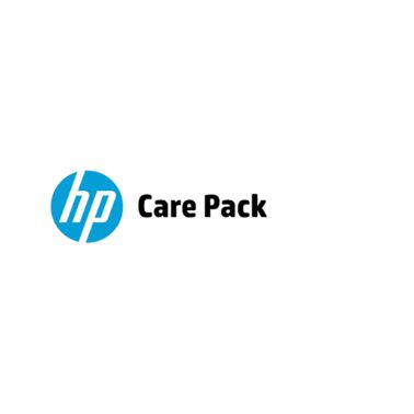 Hewlett Packard Enterprise U2EA6E IT support service