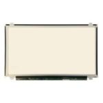 Lenovo Display 15.6 Inch 