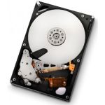 Western Digital Ultrastar A7K2000, 1TB 3.5" 1000 GB Serial ATA