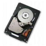 Hitachi 0B21254 SCSI Hard Drive