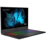 Medion Beast X25 Ryzen 7-5800H 16GB 512GB RTX 3070 17.3 Inch Windows 10 Laptop 