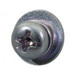 Sony Screw +PSW M4X10 1 pcs 