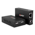 Lindy 100m 2 Port USB 2.0 Cat. 6 Extender