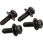 Sony Screw +PSW M5X16 (qty. 4) 