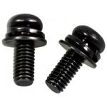 Sony Bag, Screw (M6L16)(2)(PDT ML) 