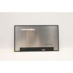 Lenovo DISPLAY FRU AUO B140XTN07.9