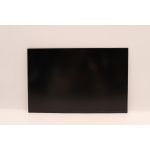Lenovo DISPLAY Coretronic 14 WUXGA AG