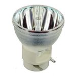 Benq 5J.J9P05.001 projector lamp