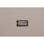 Lenovo 1TB M.2 2242 PCIe 4x4 SSD