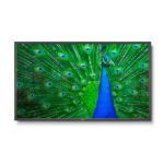 NEC MultiSync C651Q 165.1 cm (65") LED 4K Ultra HD Digital signage flat panel Black