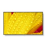 NEC MultiSync ME651 Digital signage flat panel 165.1 cm (65") IPS 400 cd/mÂ² 4K Ultra HD Black 18/7