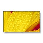 55" M-Series Large Format Display, UHD, 500cd/m2, D-LED backlight, 24/7 proof,SDM Slot, CM-Slot