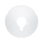 Ubiquiti AF60LR-RADOME wireless access point accessory