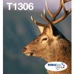 Epson C13T13064510/T1306 Ink cartridge multi pack C,M,Y XL EasyMail 3x10.1ml Pack=3 for Epson Stylus BX 320/SX 525/WF 3500